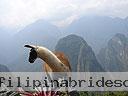 Machu-Picchu-009