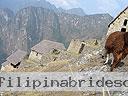 Machu-Picchu-021